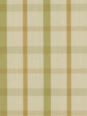 Party Plaid | Celadon