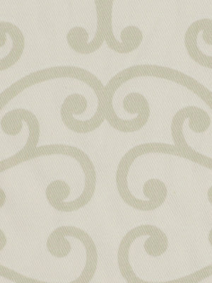 SOFT SCROLLS | BIRCH