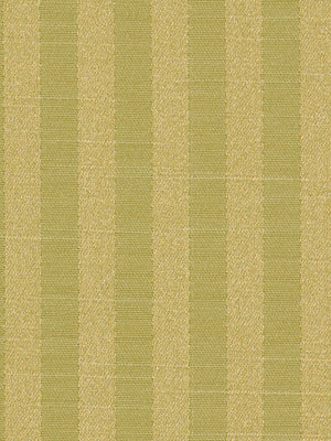 MANSFORD | CELERY