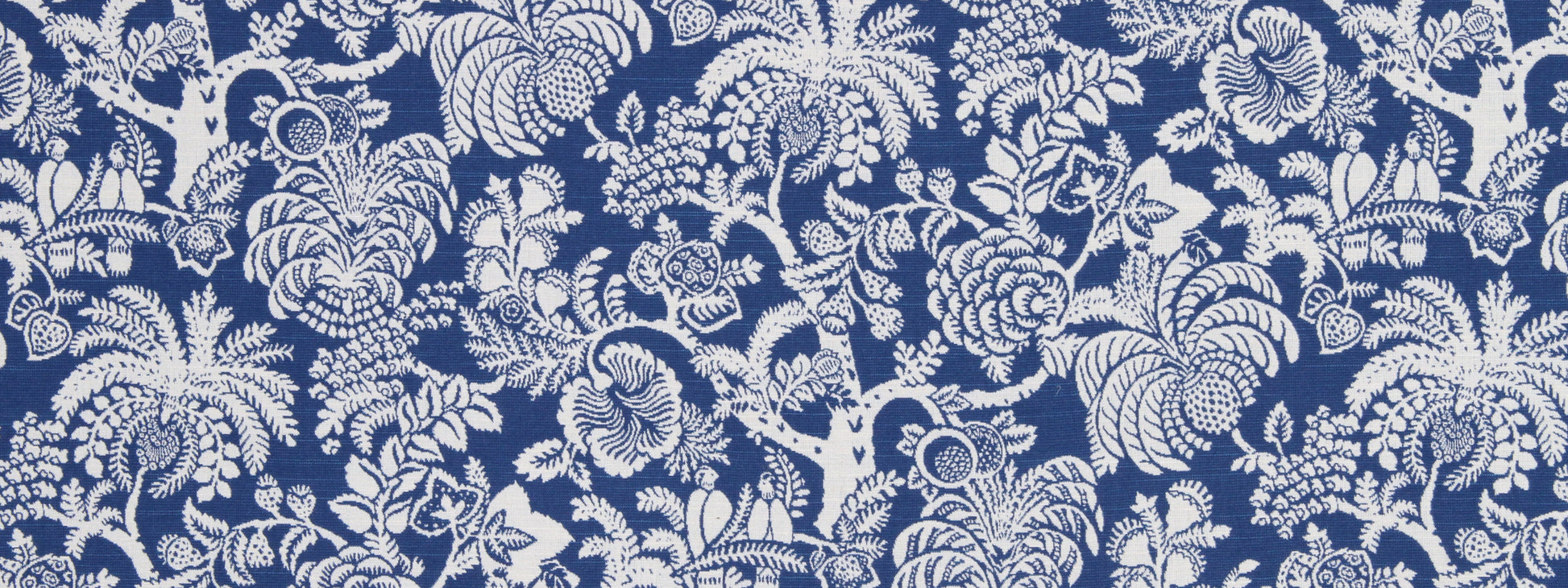 GILARDIA | BLUEBELL