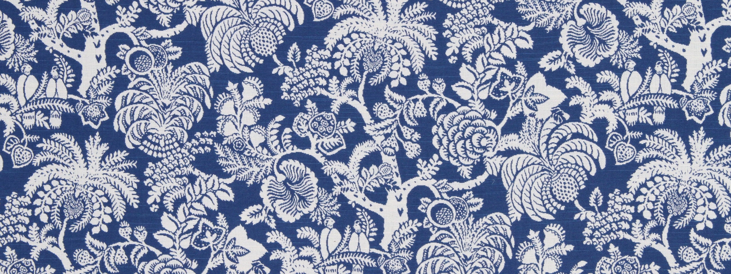 GILARDIA | BLUEBELL