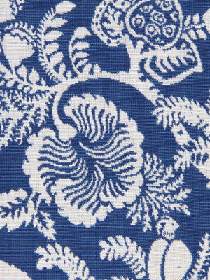 GILARDIA | BLUEBELL