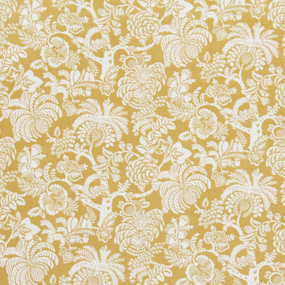 GILARDIA | HONEYSUCKLE