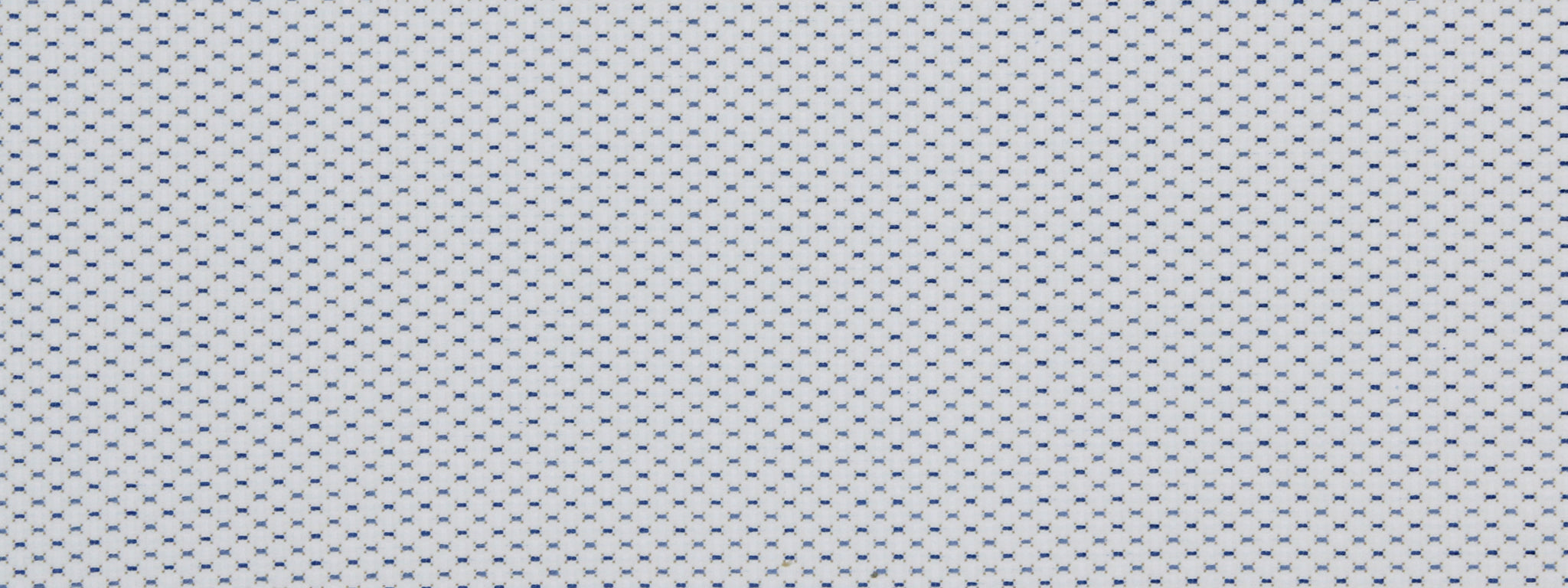 QUIMP | BLUEBELL