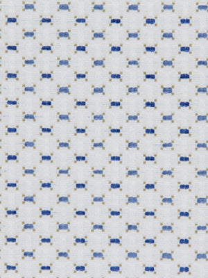 QUIMP | BLUEBELL