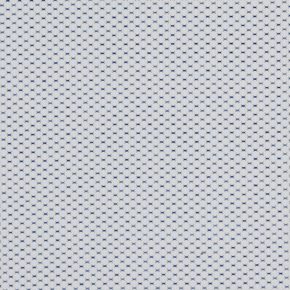 QUIMP | BLUEBELL