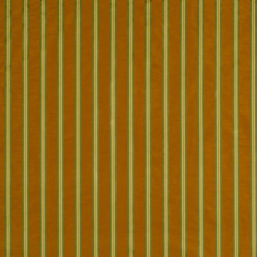 DOUBLE STRIPE | CITRUS - Multi-purpose