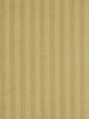 PARAGON STRIPE | LATTE - Upholstery - Fabric