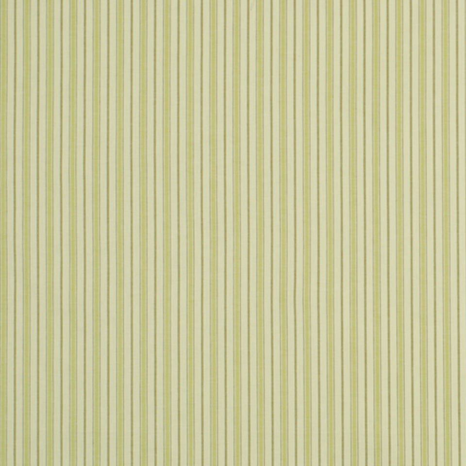 KIND KELLY | LEEK