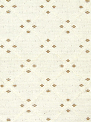 SANDY LANE | CLOUD