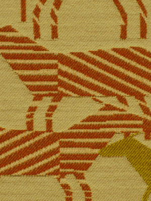 ZEBRA SAFARI | CARROT