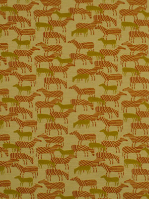 ZEBRA SAFARI | CARROT