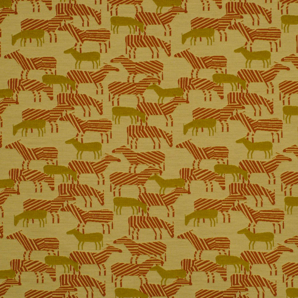 ZEBRA SAFARI | CARROT