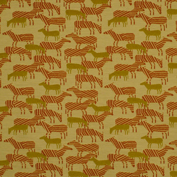 ZEBRA SAFARI | CARROT