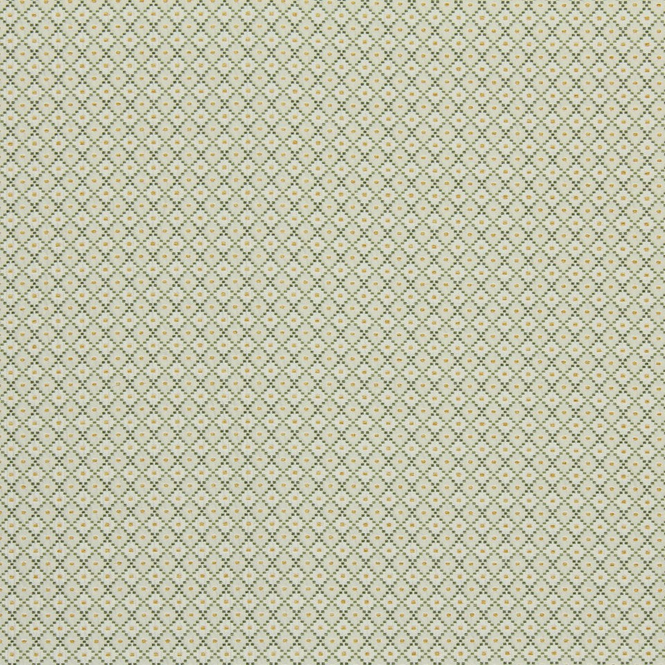 DOTTED BOXES | HONEYSUCKLE