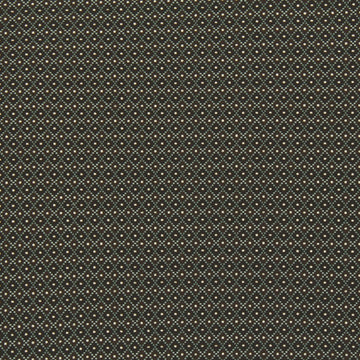 DOTTED BOXES | POOL