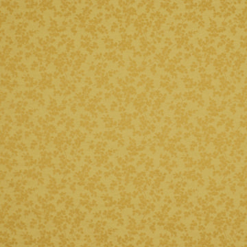 Avail | Honeysuckle
