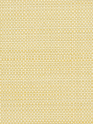 SCANCELLI | VANILLA