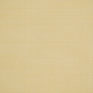 SCANCELLI | VANILLA