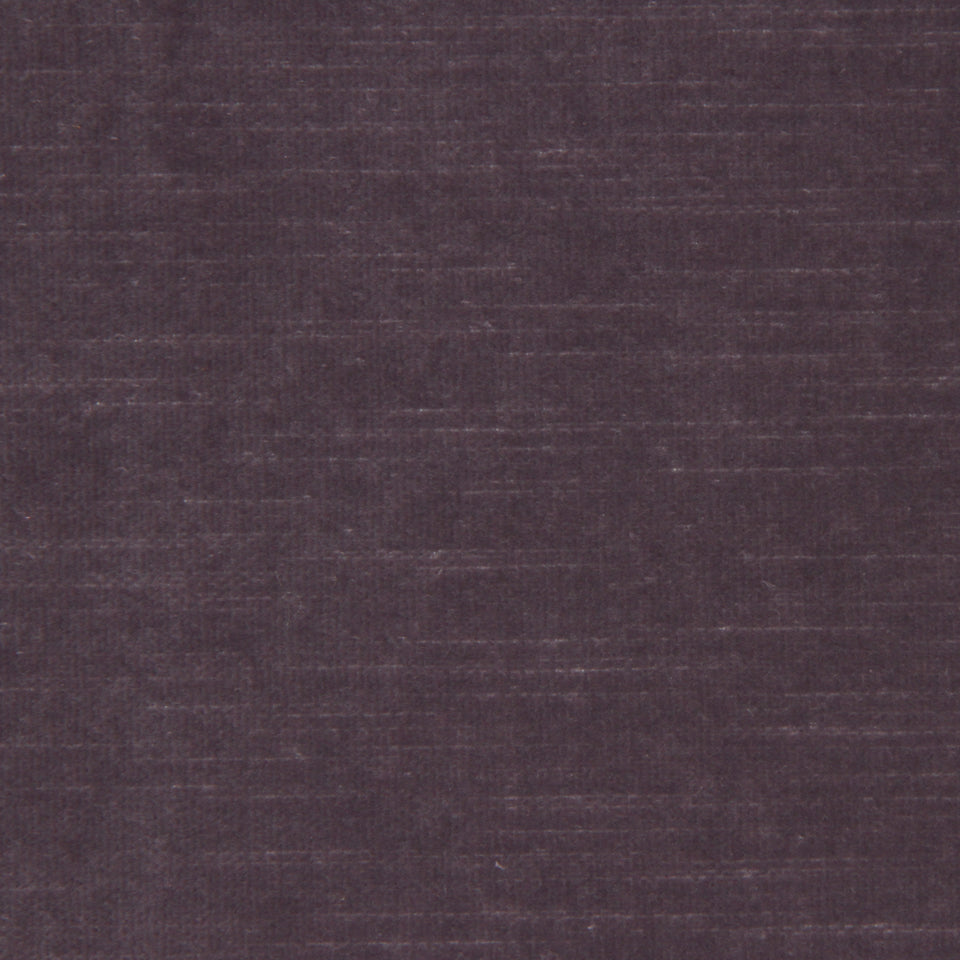 CONTENTMENT | LAVENDER