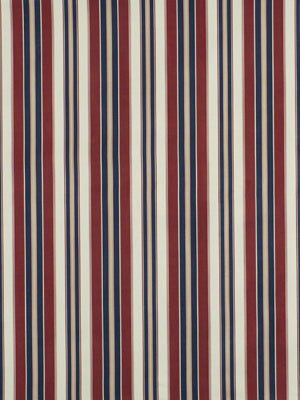 Squam Stripe | Indigo - Multi-purpose