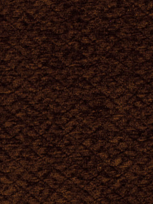 SCALES | TEAK
