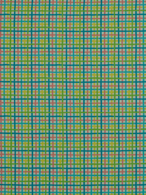 BAJA PLAID | FIESTA