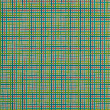 BAJA PLAID | FIESTA