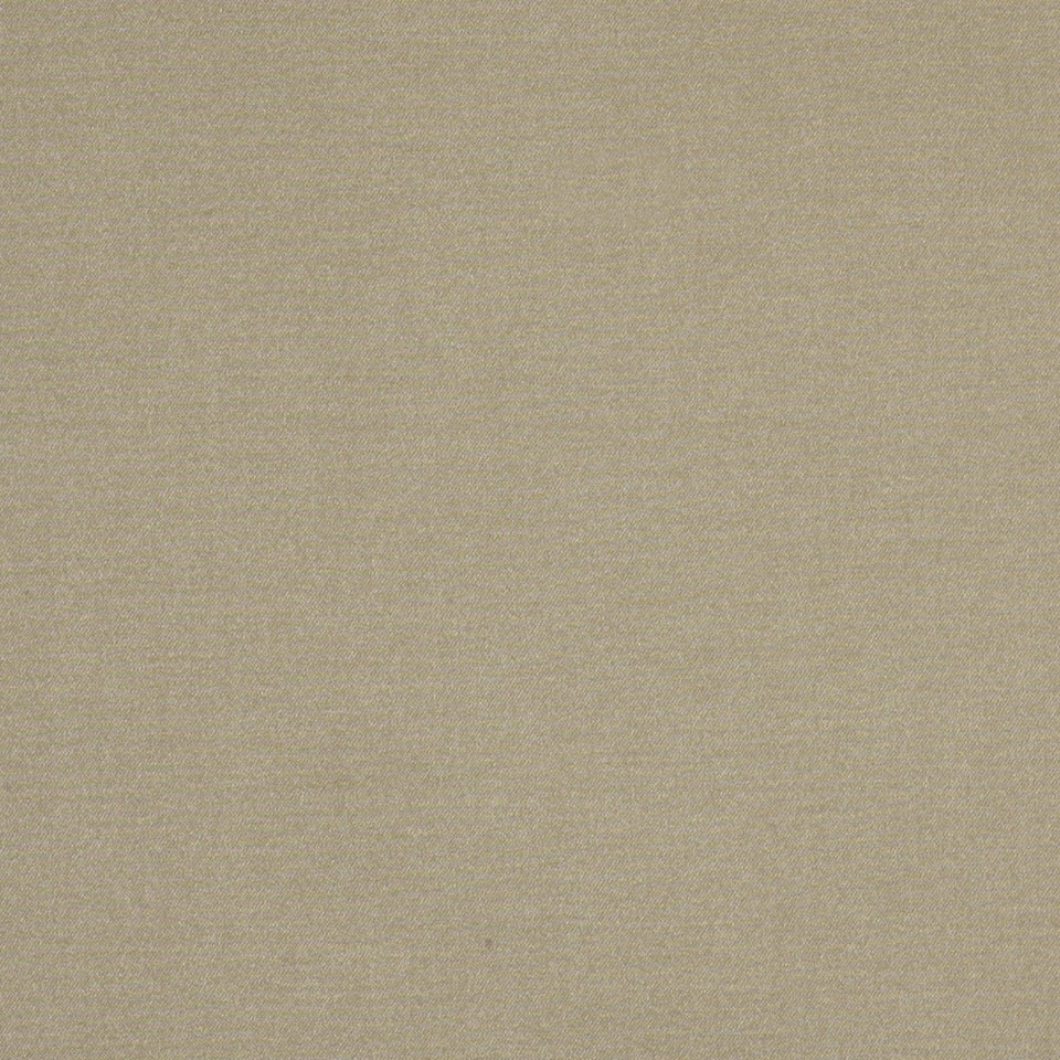 MORDINI | SAND DOLLAR - Multi-purpose