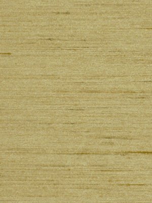 LEONARDO | CELERY - Multi-purpose