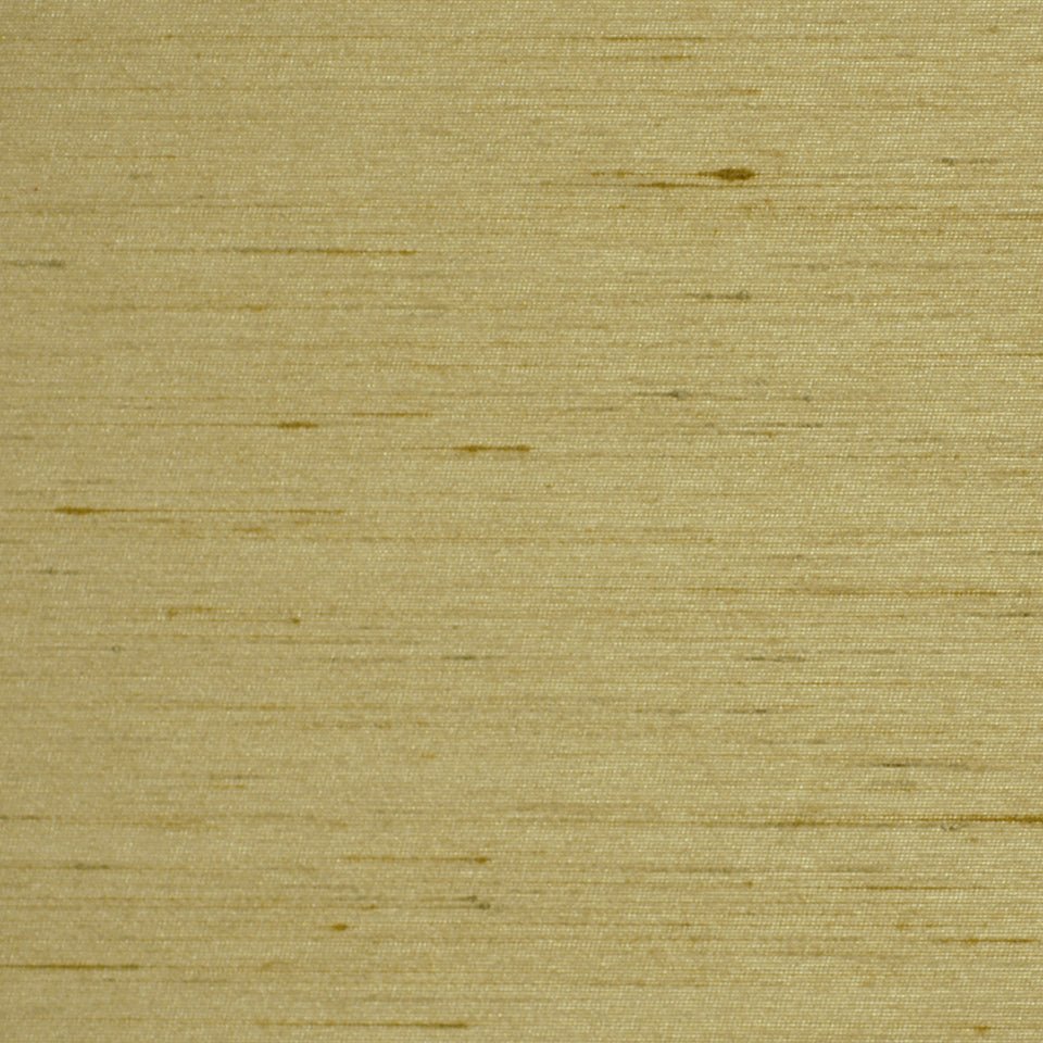 LEONARDO | CELERY - Multi-purpose