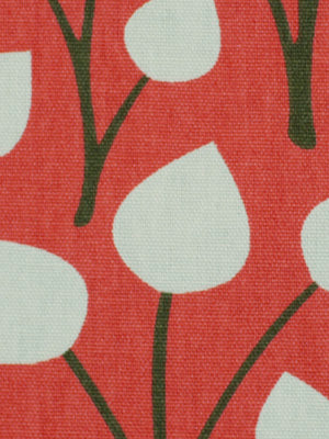 ZOO FLORA | CORAL