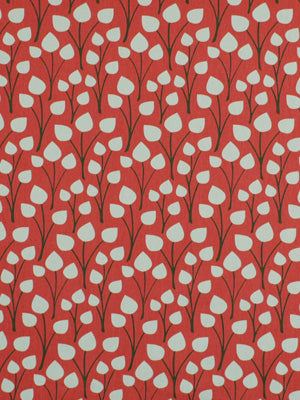 ZOO FLORA | CORAL