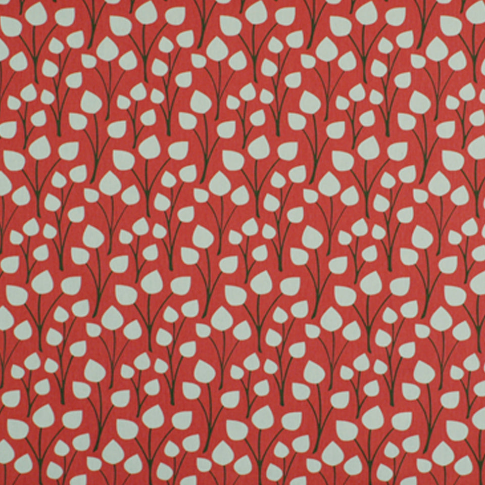 ZOO FLORA | CORAL