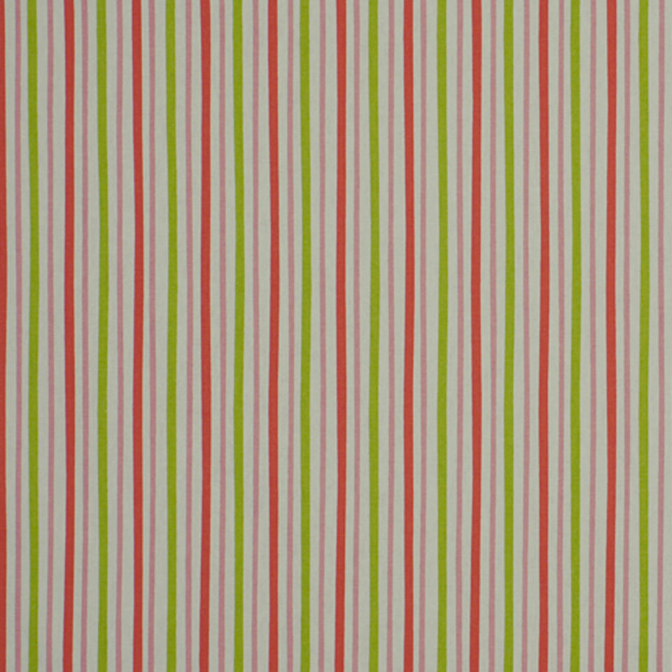 ZOO STRIPE | PINK