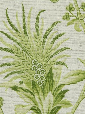 DRAYTON PARK | PEAR - Multi-purpose