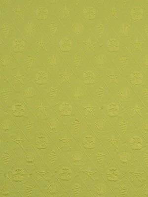 SUMMER SCENE | PEAR - Multi-purpose