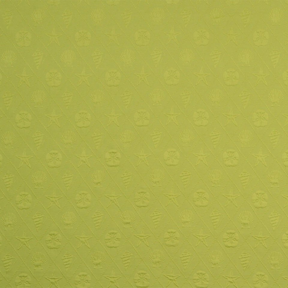 SUMMER SCENE | PEAR - Multi-purpose