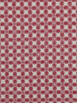 PINWHEEL | MAGENTA - Multi-purpose