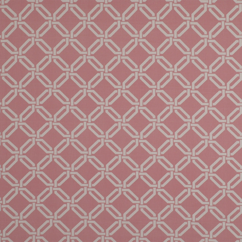 ROAD MAZE | CARNATION