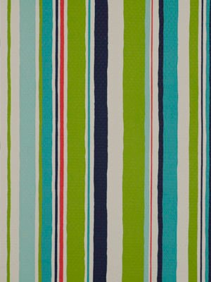 BAJA STRIPE EM | TURQUOISE - Multi-purpose