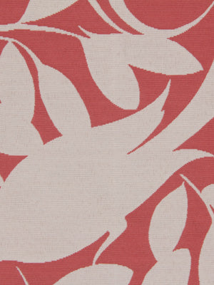 LEAF POINT | PEONY
