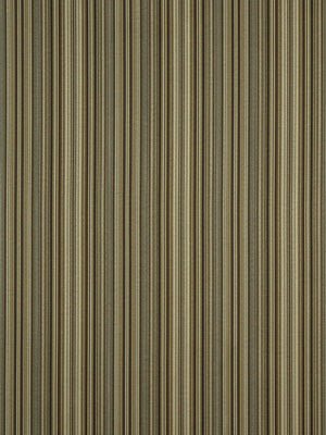 LAWFORD STRIPE | ACORN - Multi-purpose