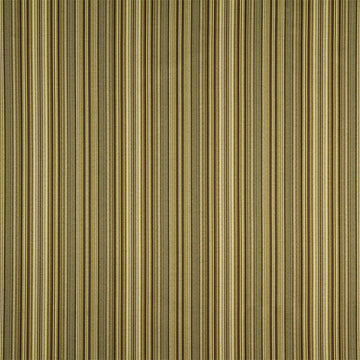 LAWFORD STRIPE | GOLDENROD - Multi-purpose