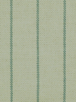 AIMEE STRIPE | ALOE