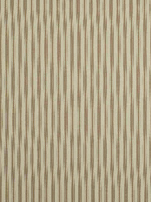 PADULA | AMBER