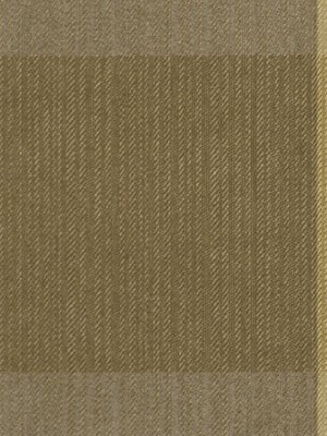 SPONGEE | AMBER - Upholstery - Fabric