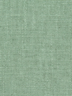 Open Plain | Aloe