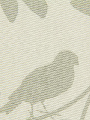 BOTANY FLORA | TAUPE