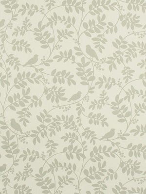 BOTANY FLORA | TAUPE